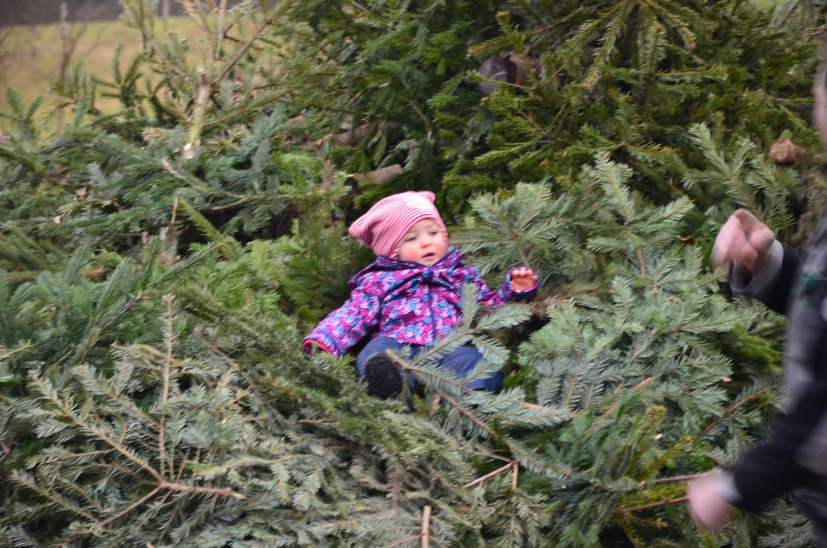 2014-01-11 WBAktion 057.jpg